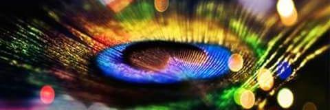 das_halder's profile banner image