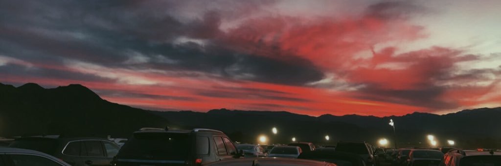 mady_wolfe's profile banner image