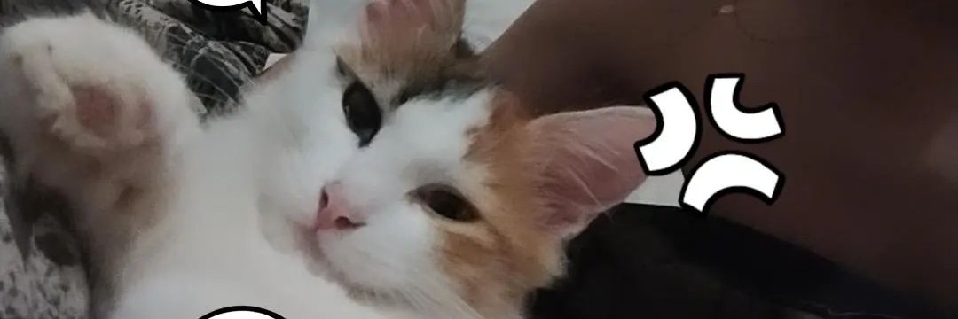 moyaa_22's profile banner image