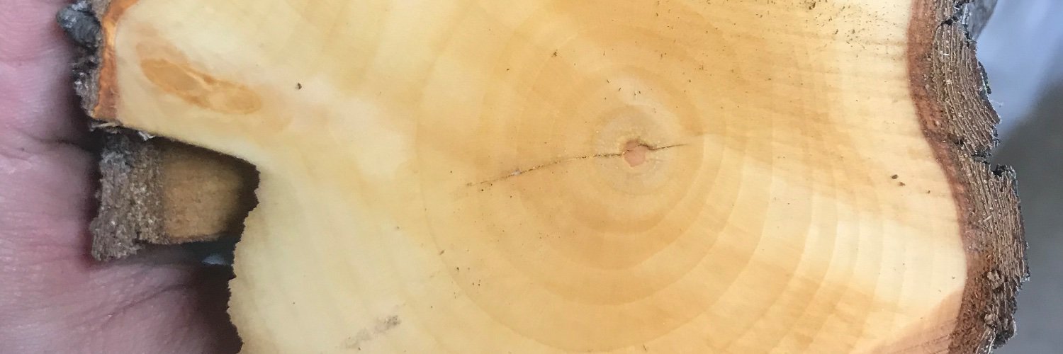 silentmgiant's profile banner image