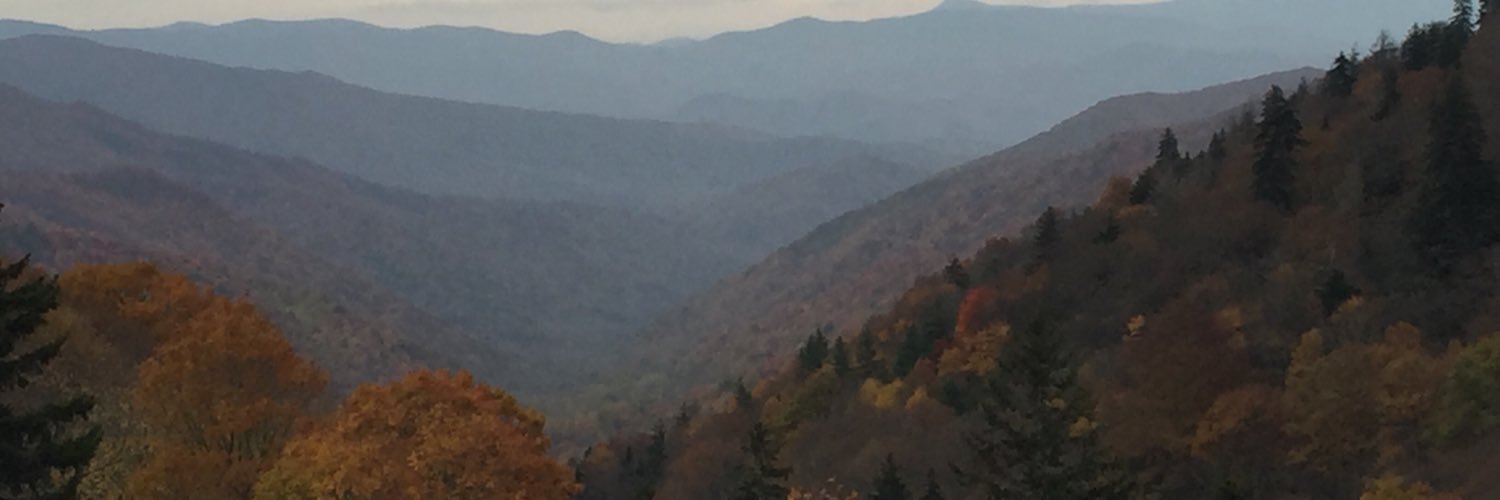 GaskellScarlett's profile banner image