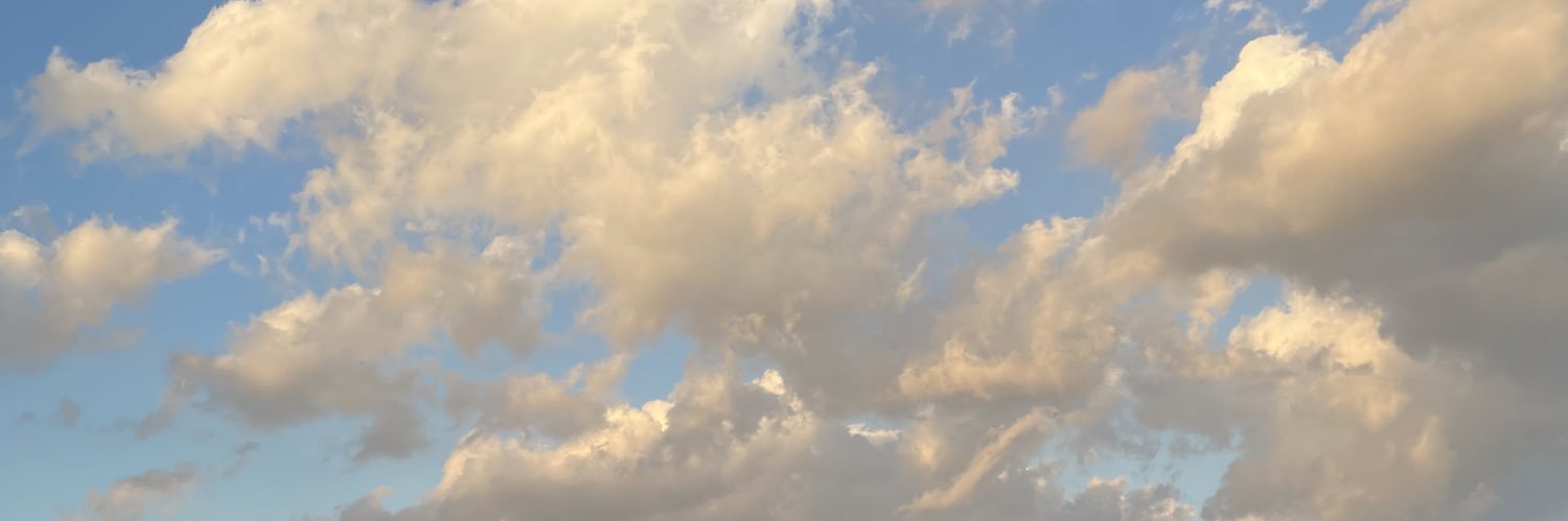 nxnnnn09's profile banner image