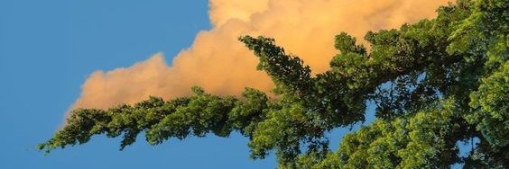 jaredjbarton's profile banner image