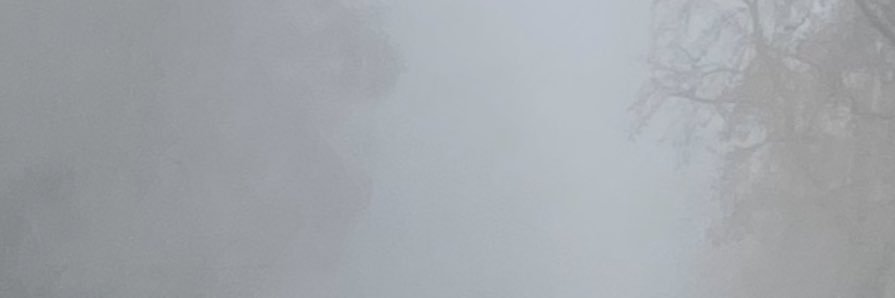 nowly101_devi's profile banner image
