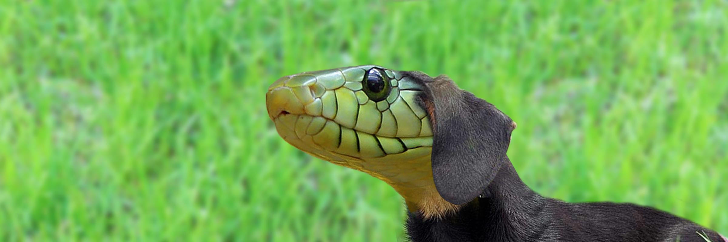 DonMagor's profile banner image