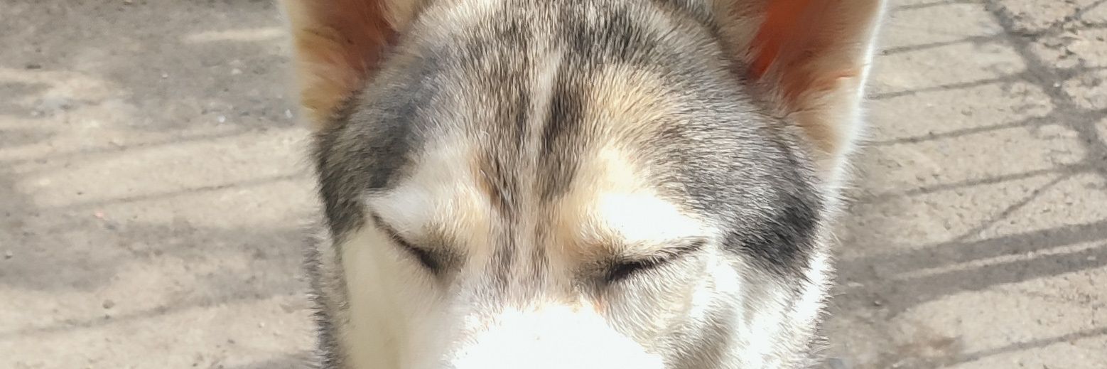 lgymjsbll's profile banner image