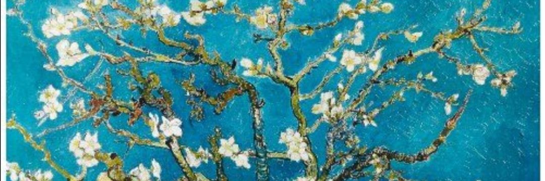 Ana Martínez Chamorro (ella/she) banner