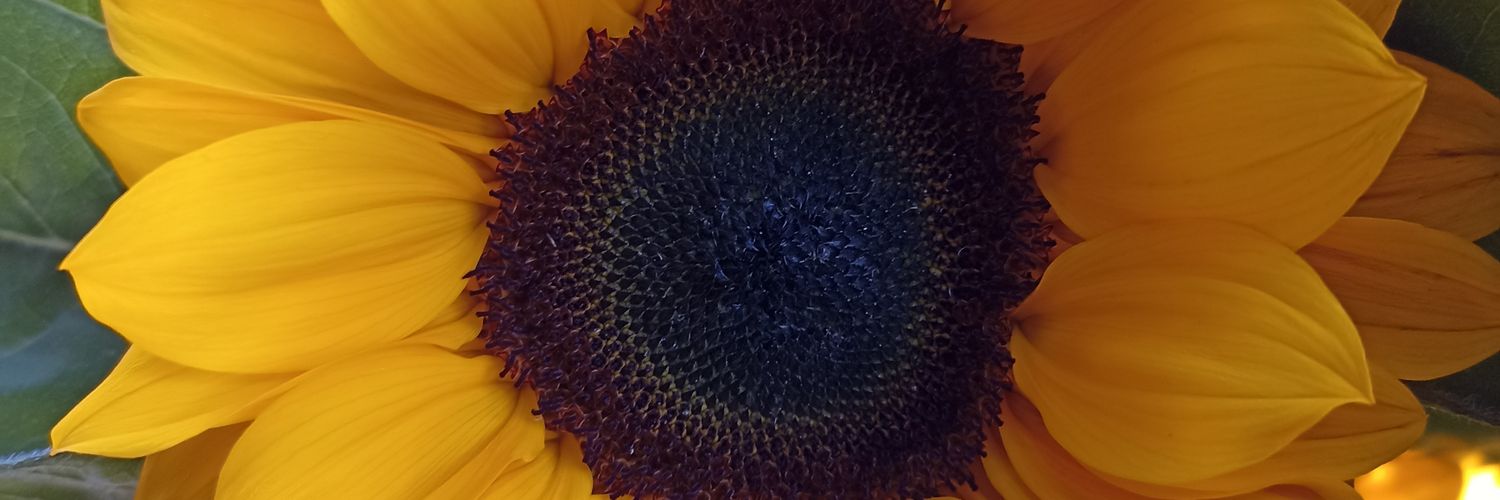 dialejafm's profile banner image