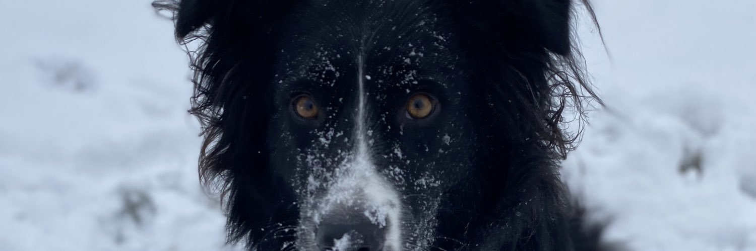 saracalloway22's profile banner image