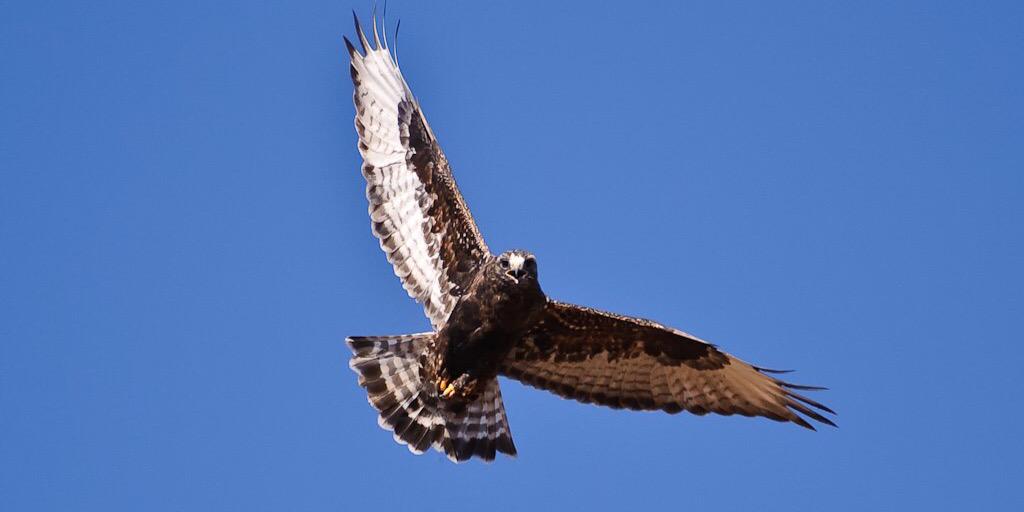 🇰🇼 صوت كويتي banner