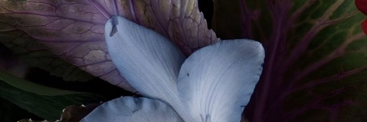 victoria🪐 banner