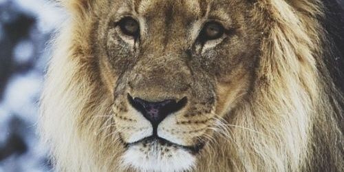 Mrosemeris's profile banner image