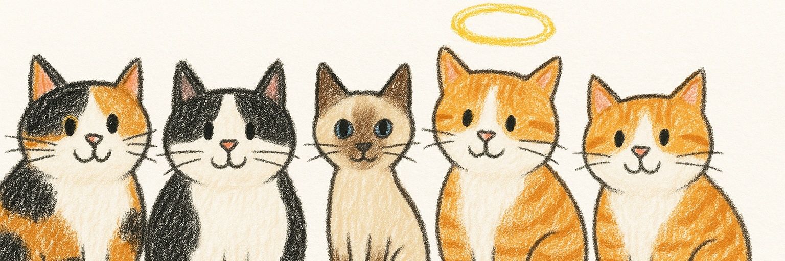 andyppat's profile banner image
