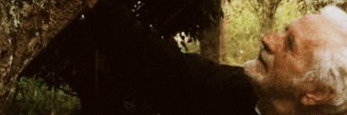 MairaAlbuquerq3's profile banner image