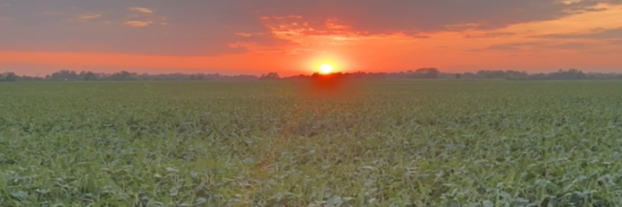 Caderuether's profile banner image