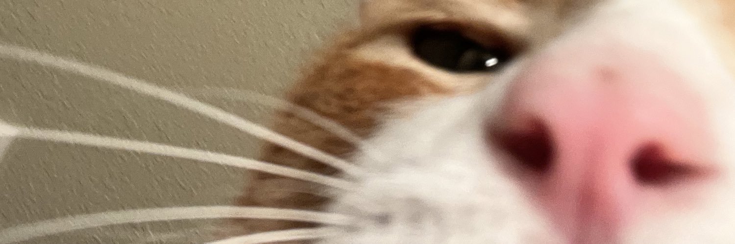 DannyTheDemon60's profile banner image
