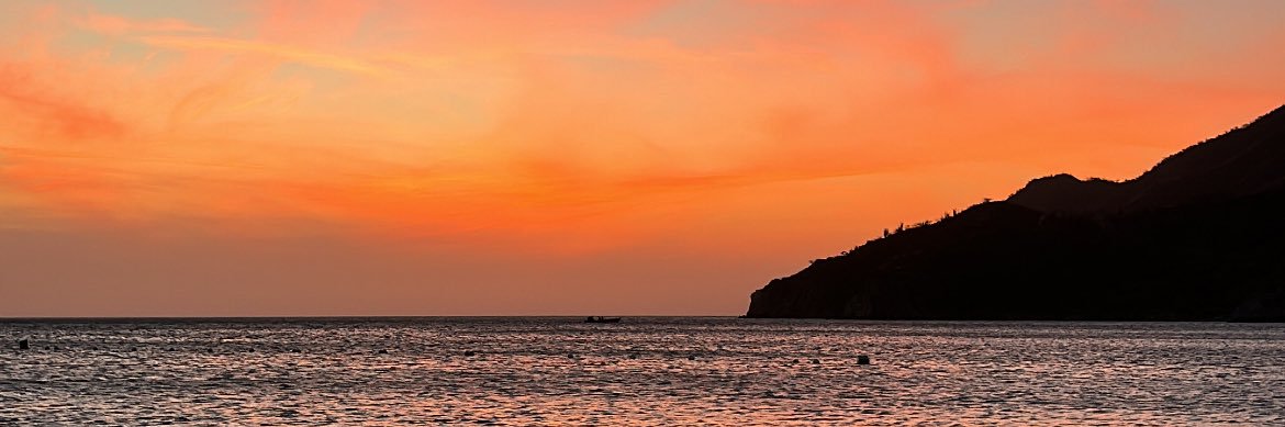 Soare_as's profile banner image