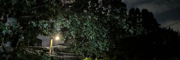 Zenaida1390 Profile Banner