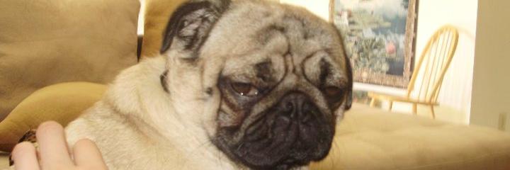 ccunting's profile banner image