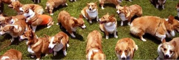 caitrinbodmer's profile banner image