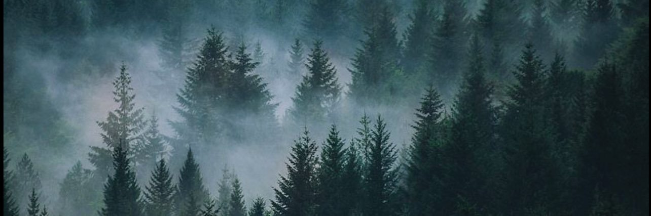 izzydrowning's profile banner image