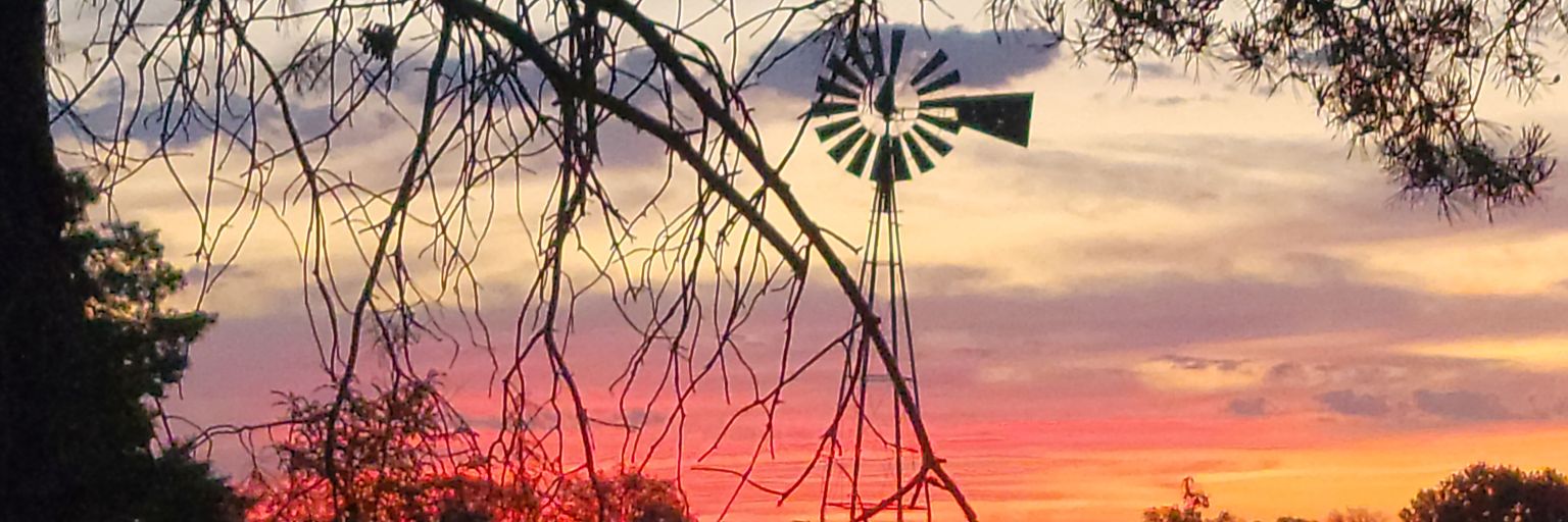 watson_kimber's profile banner image