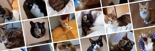 kaleido___7 Profile Banner