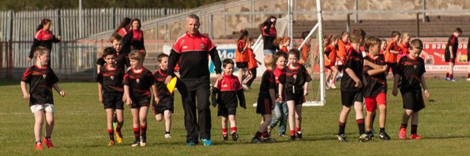 Mickey Donnelly banner