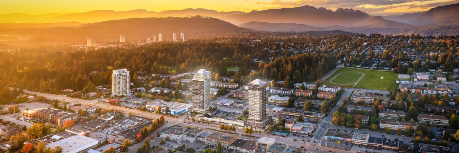 Austin Heights BIA banner