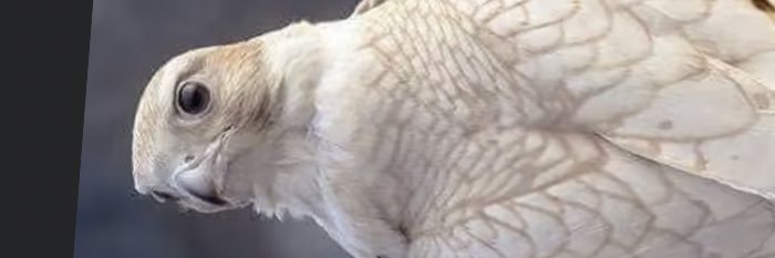 3o3511's profile banner image
