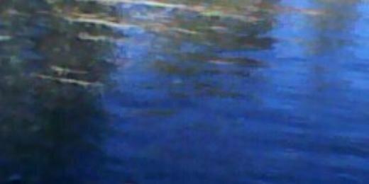 amandy2310's profile banner image