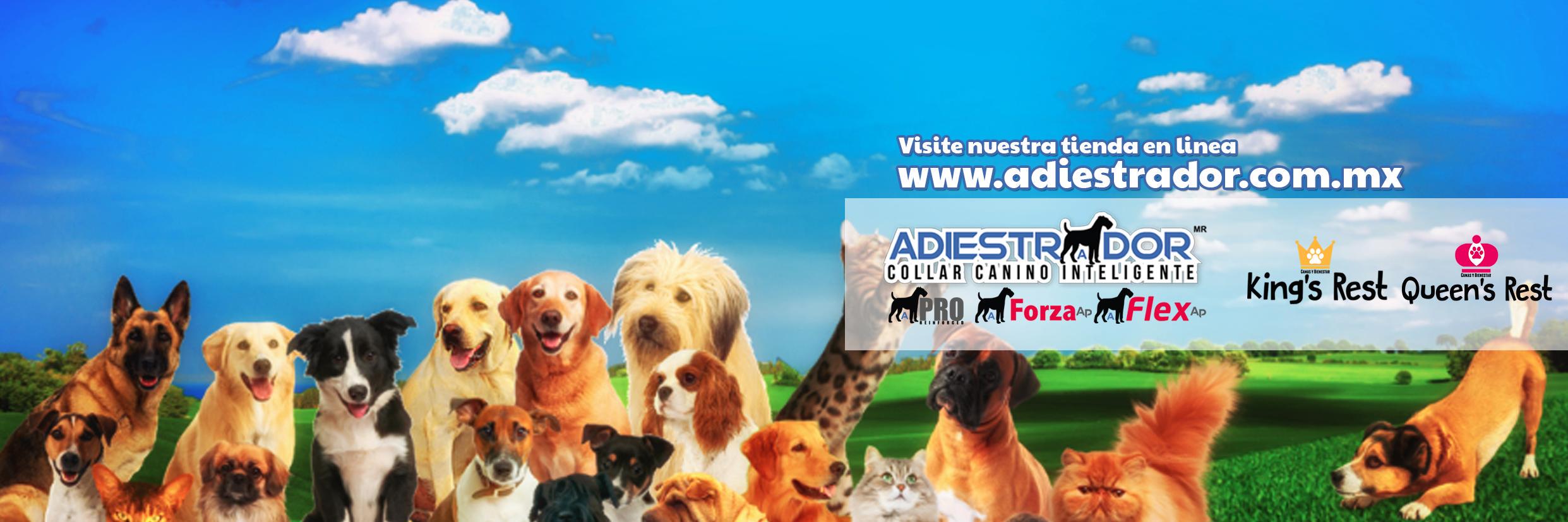petpromex's profile banner image