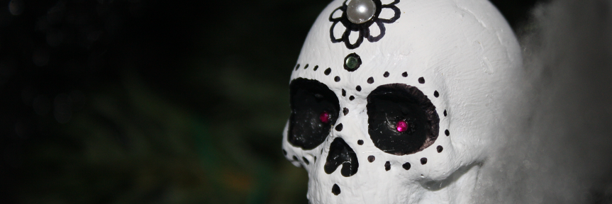 SoloSkulls's profile banner image