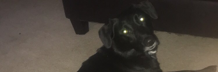 davidjeffries15's profile banner image