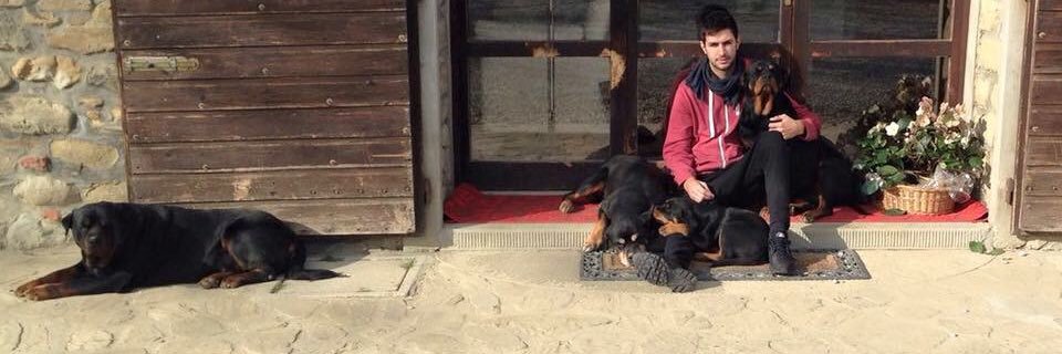 NICOLA GIANNINI banner