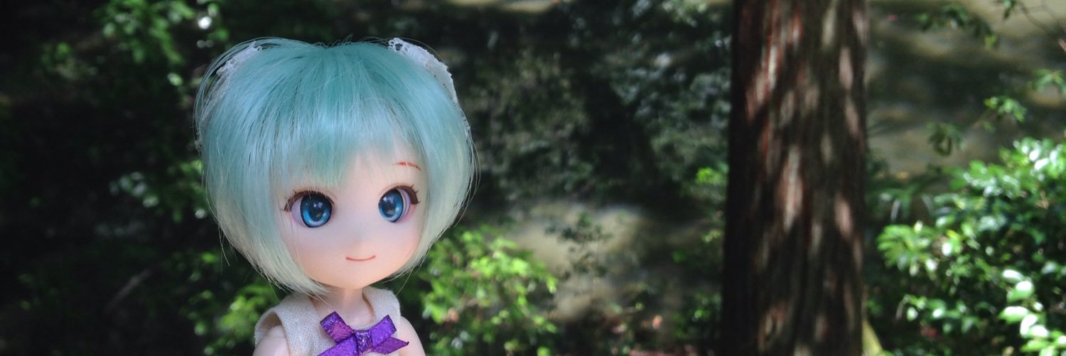 poly_co_dayo's profile banner image