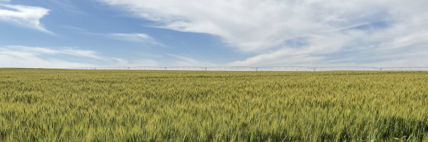 Marcoinvest's profile banner image