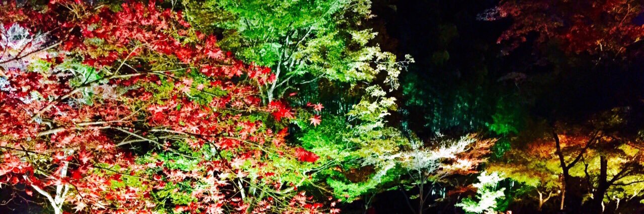 おひな banner