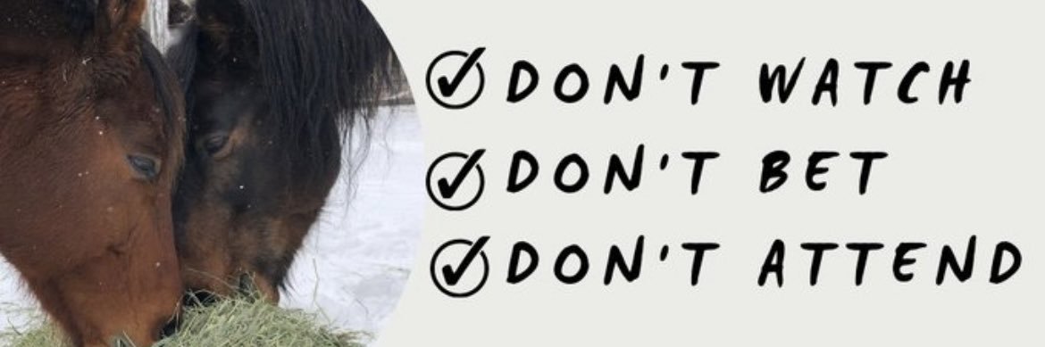 JenChristman's profile banner image