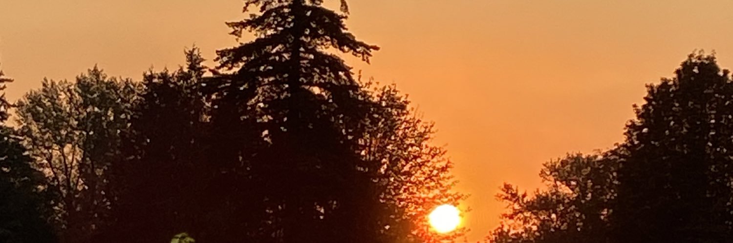 traviscoug's profile banner image