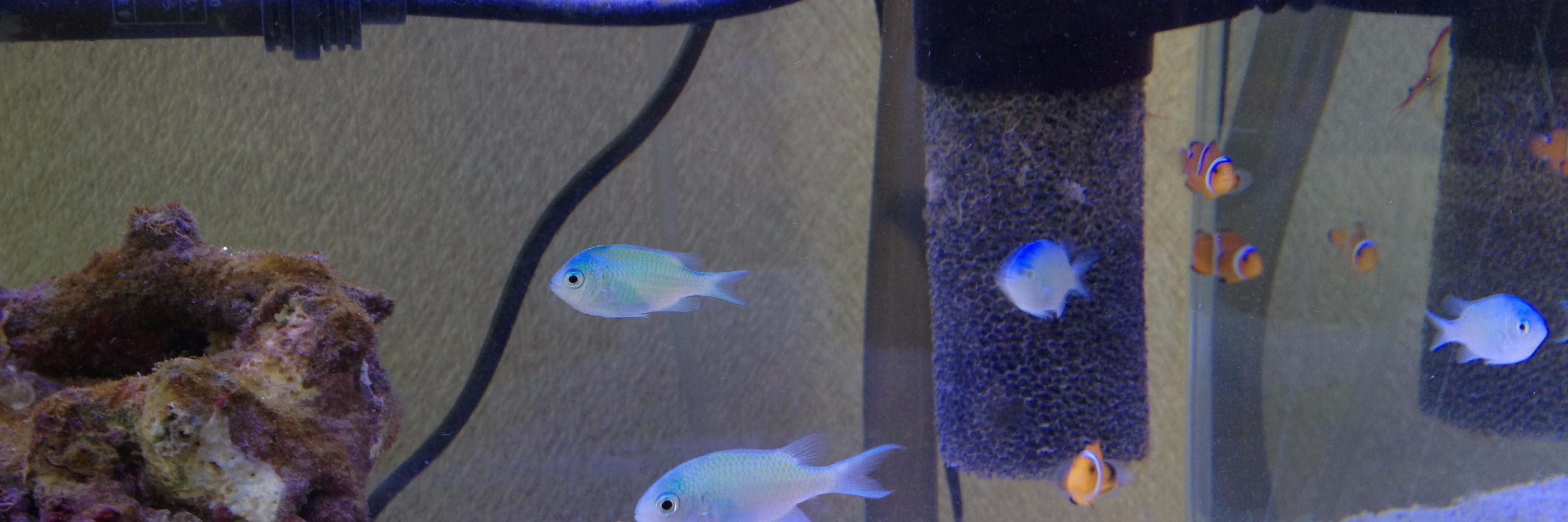 aquablog151's profile banner image
