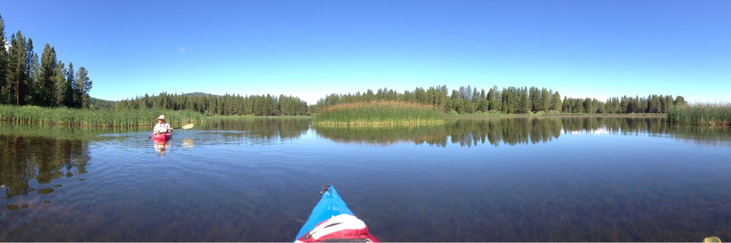 Stephen D Crump banner