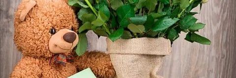 Teddybear_BI's profile banner image