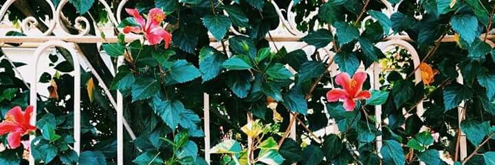 monns__'s profile banner image