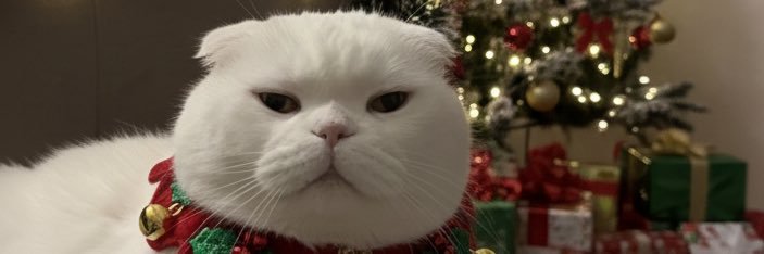 bernacarrrr's profile banner image