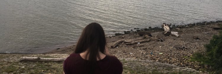 syd_geier's profile banner image