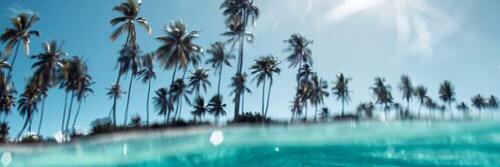 Beremona's profile banner image