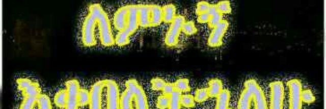 wajeed291's profile banner image