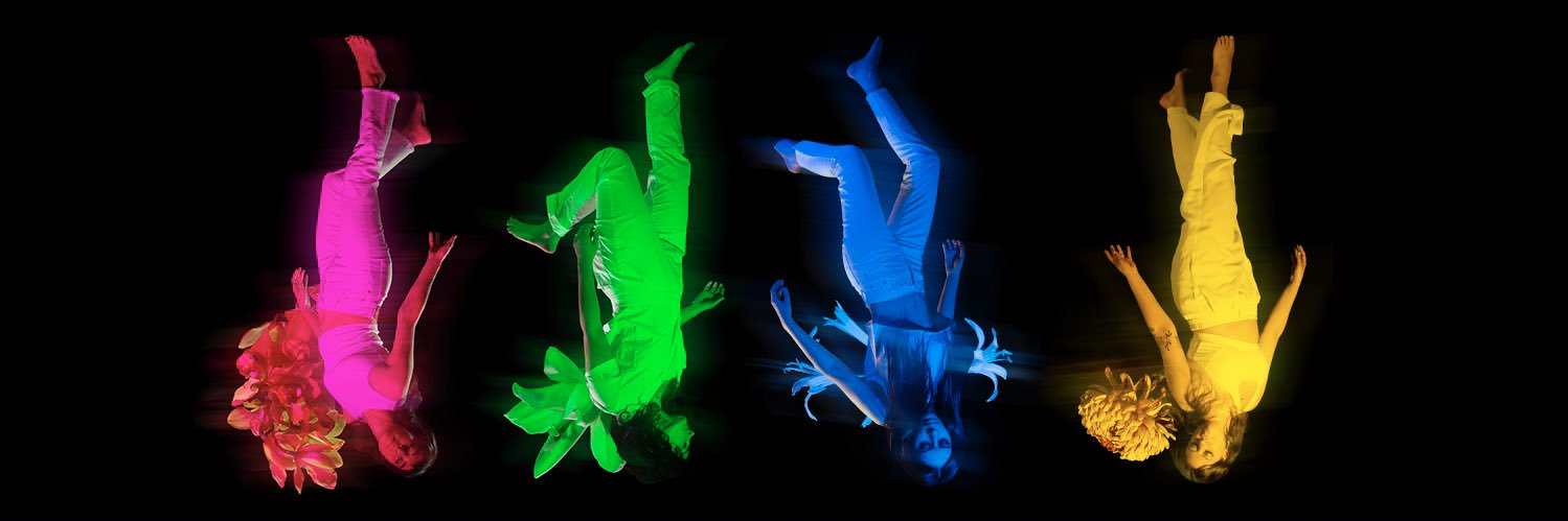 Desert Sharks banner