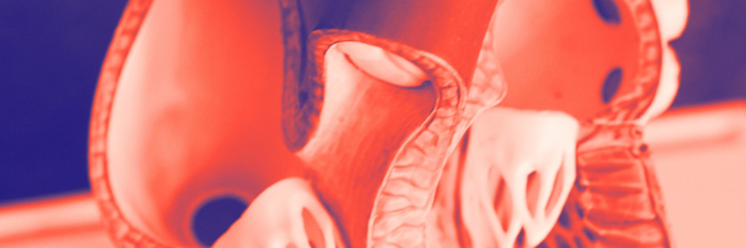 Bitkom_Health banner